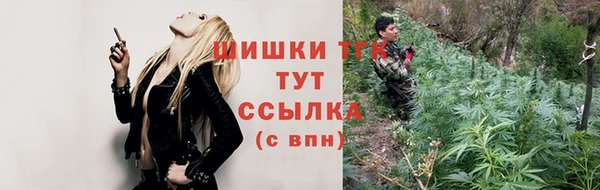 стафф Козельск
